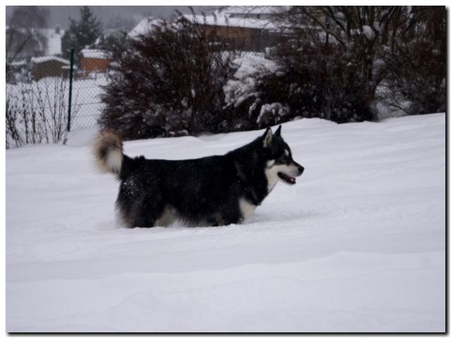 080 Februar 2010 150.jpg